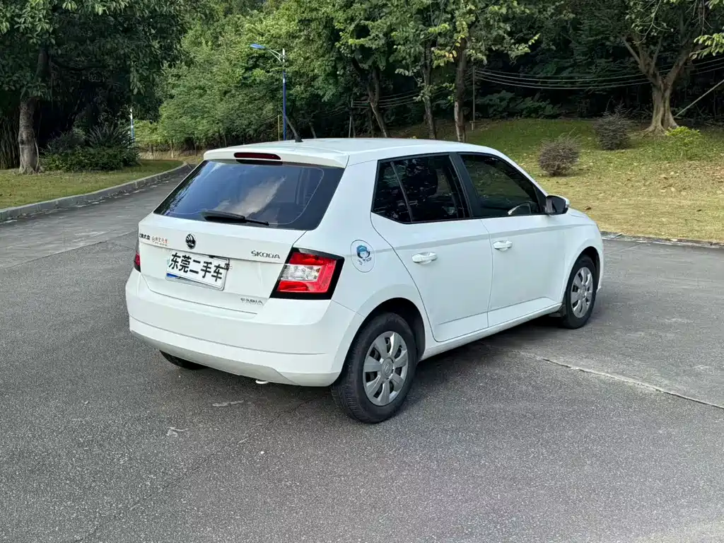 Skoda Fabia — миниатюра 11