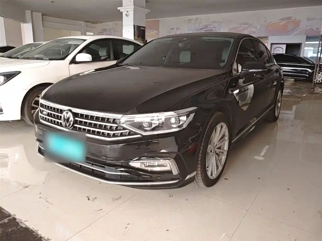 Volkswagen Magotan 2024