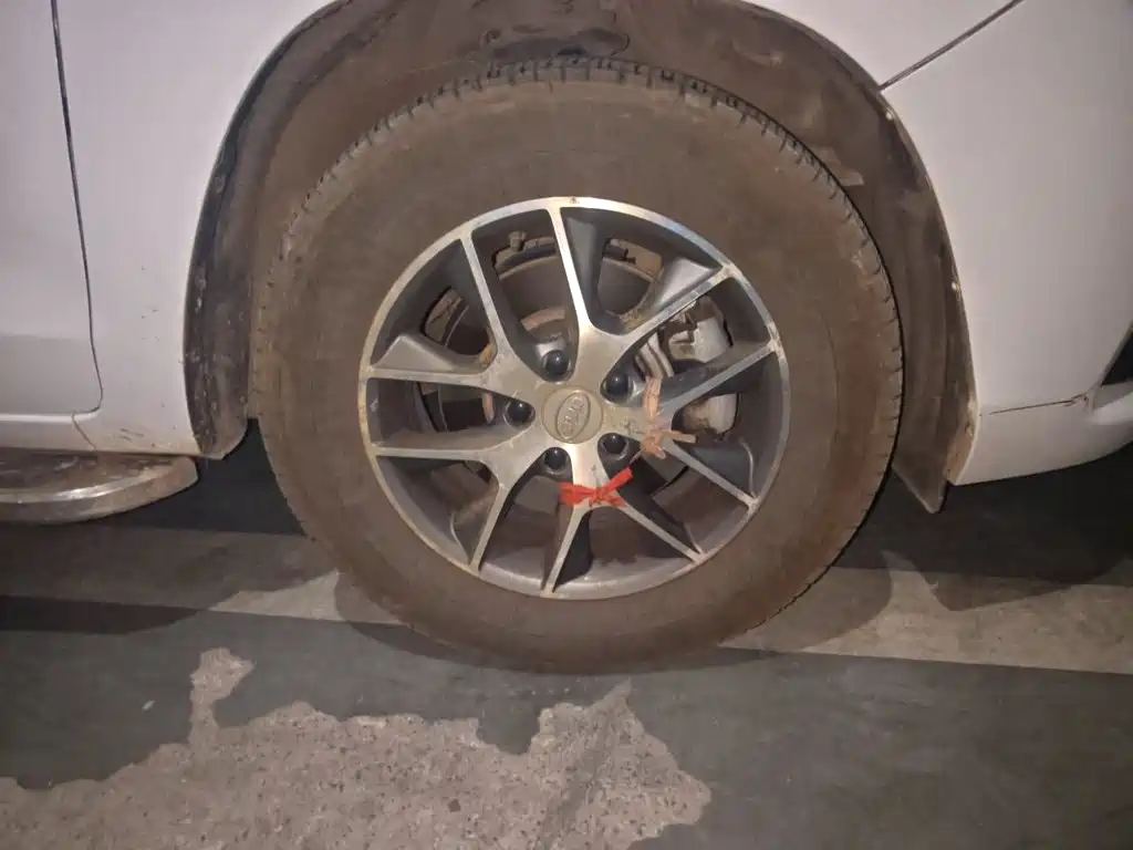 BYD Song — миниатюра 8