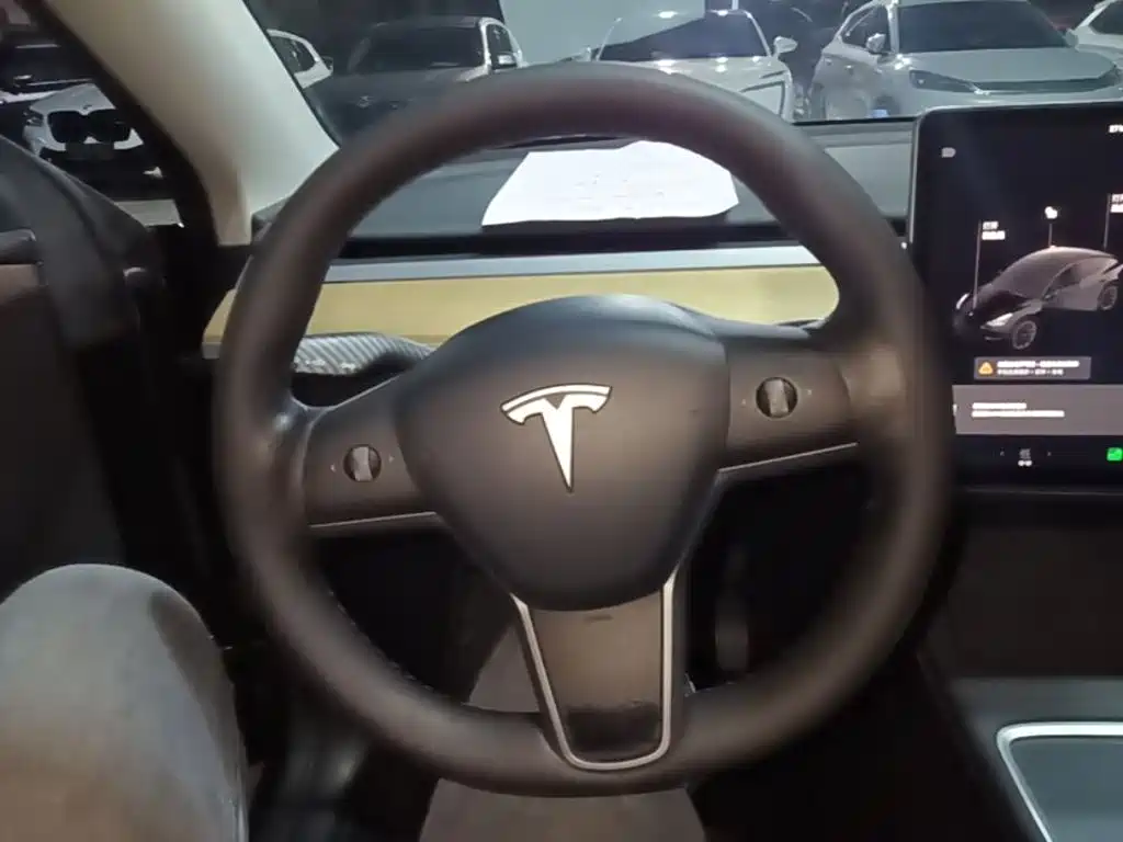 Tesla Model Y — миниатюра 11