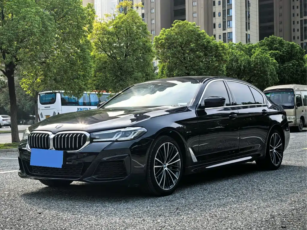 BMW 5 SERIES