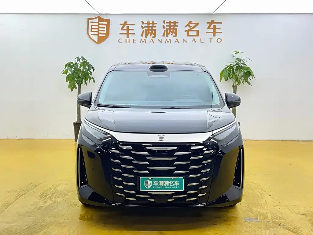 BYD Xia — миниатюра 2