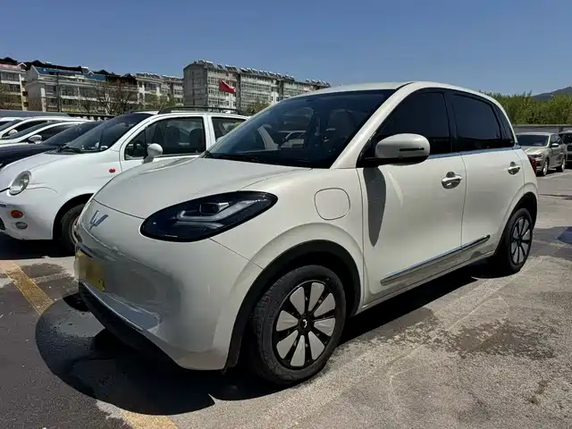 2025 Wuling Motors Binguo