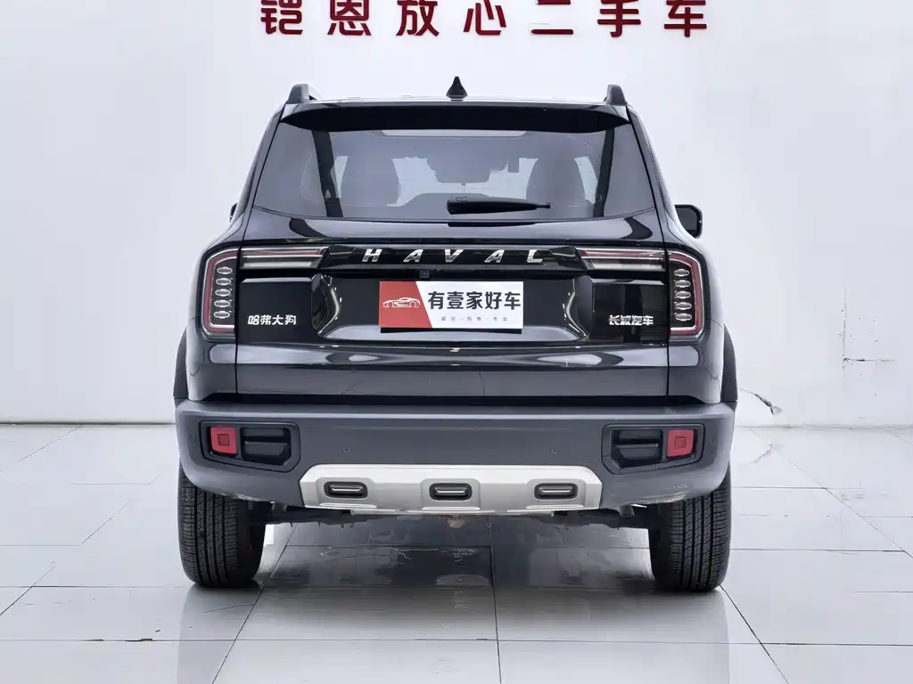 Haval Big Dog — миниатюра 5