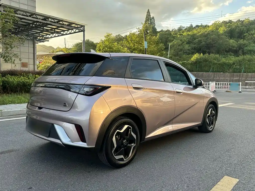 BYD Dolphin — миниатюра 25