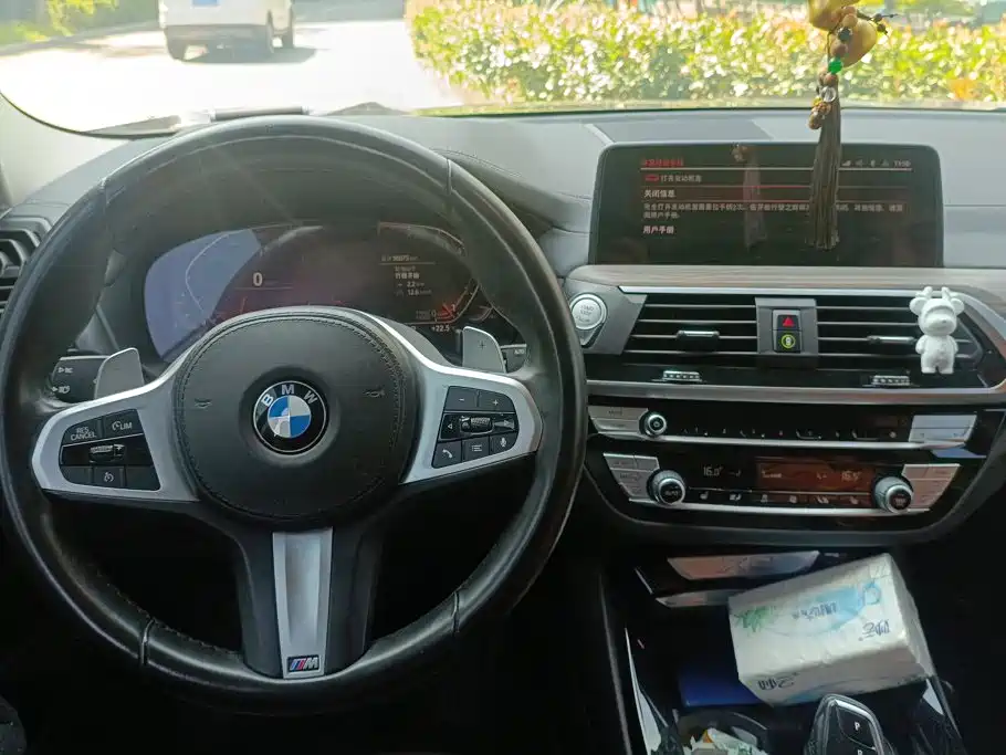 BMW X3 — миниатюра 12