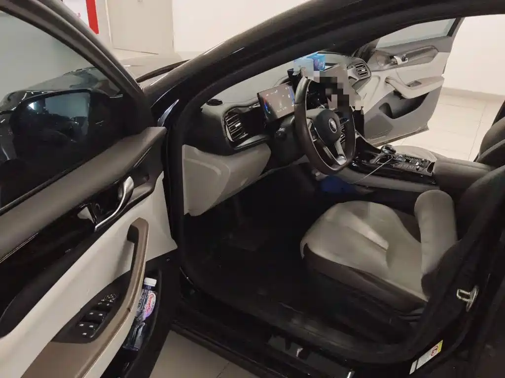 BYD Qin PLUS — миниатюра 17