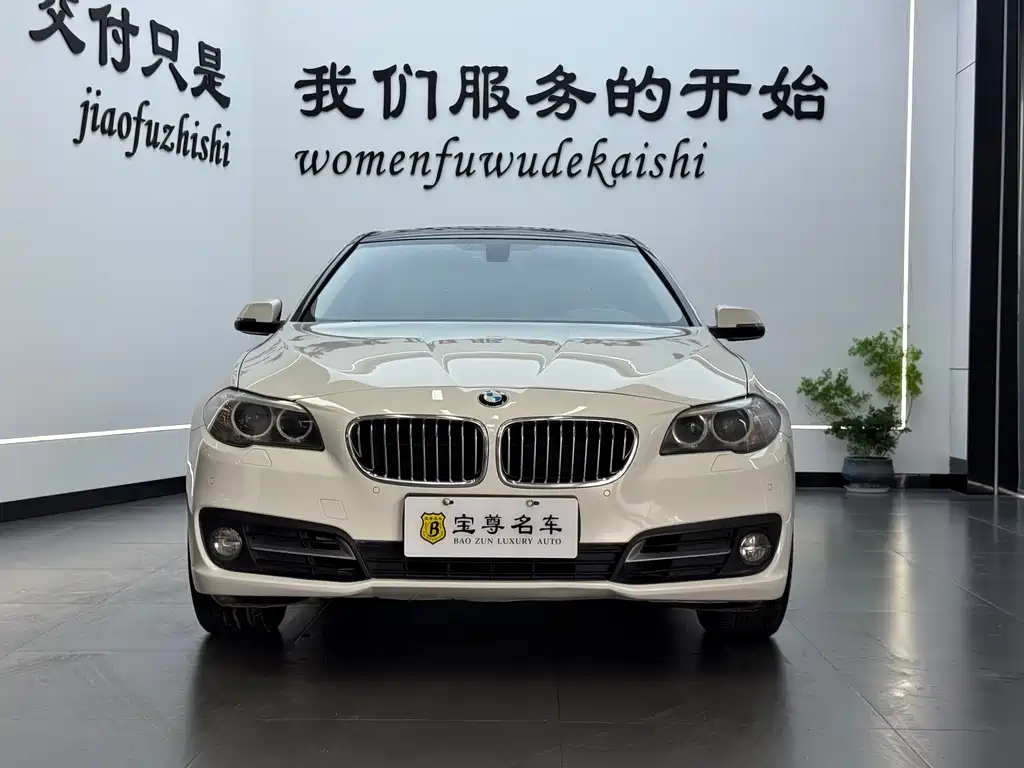 BMW 5 Series 2013