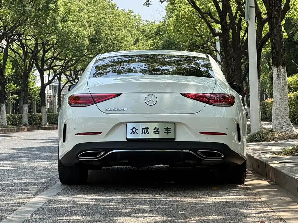 Mercedes-Benz CLS 2021 CLS 300