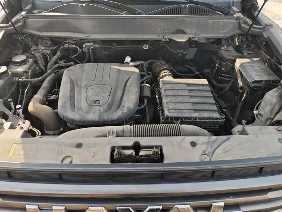 HAVAL RAPTORS NEW ENERGY