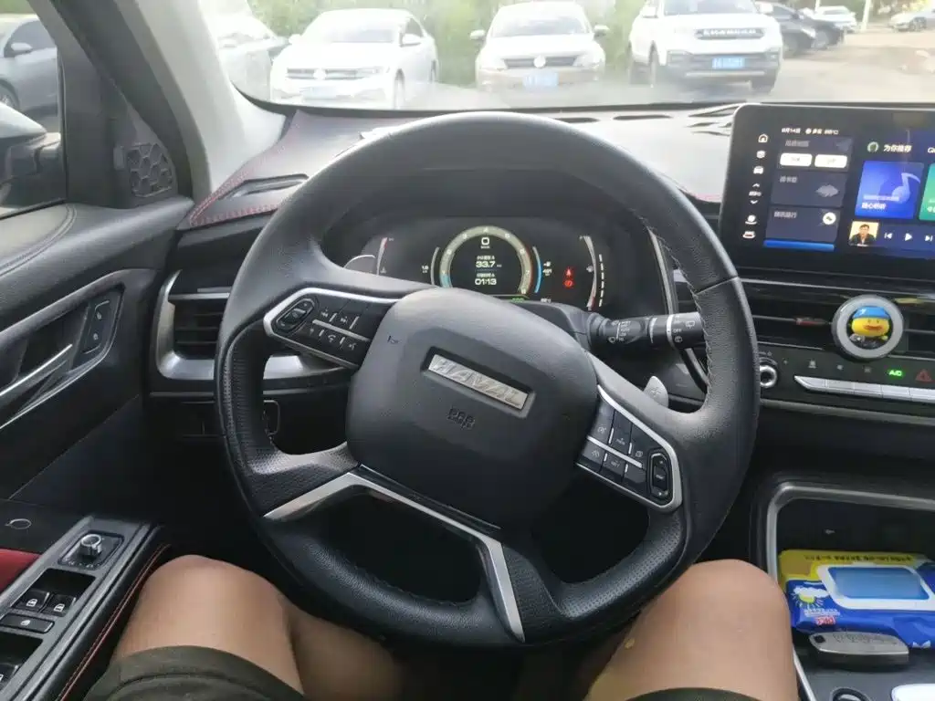 Haval H6 — миниатюра 3
