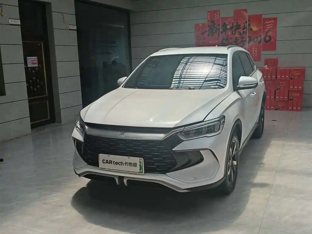 Byd Pro New Energy 2024
