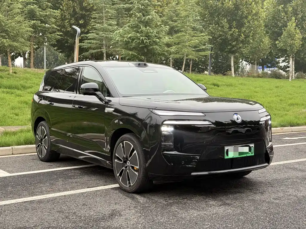 Denza Denza N8L — миниатюра 6