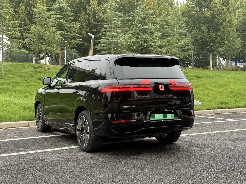 Denza Denza N8L — миниатюра 5