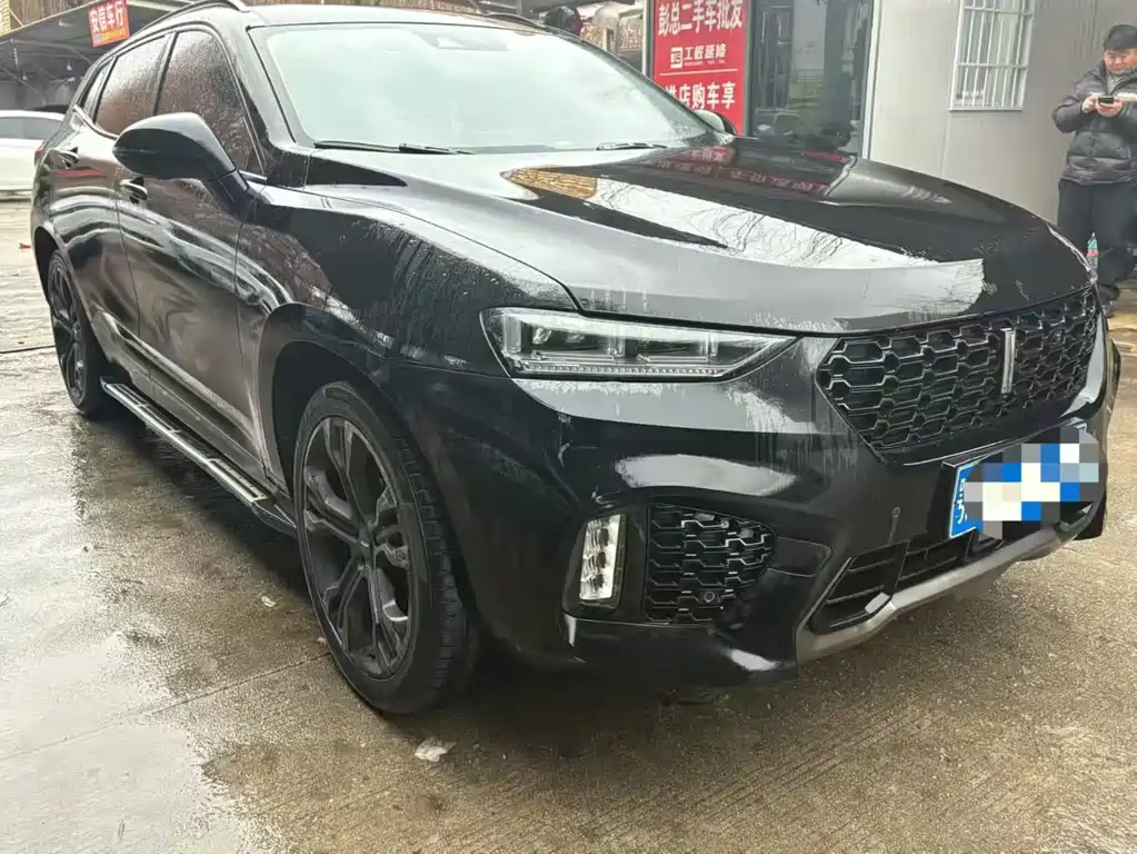 WEI PAI WEI BRAND VV7