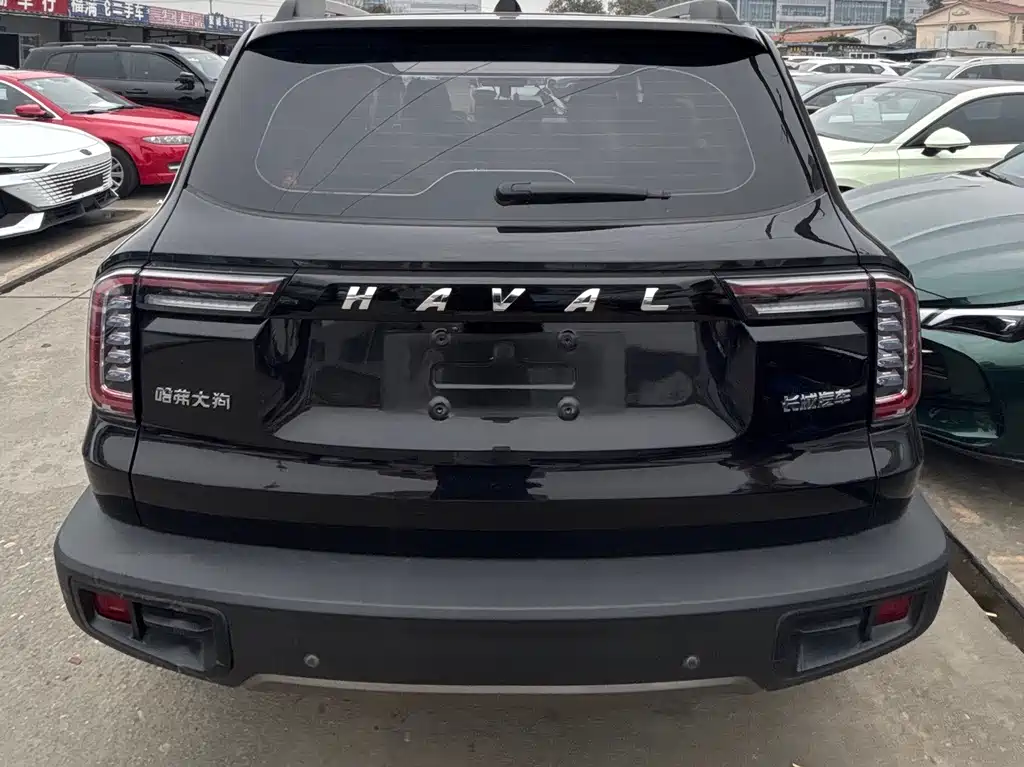 HAVAL BIG DOG
