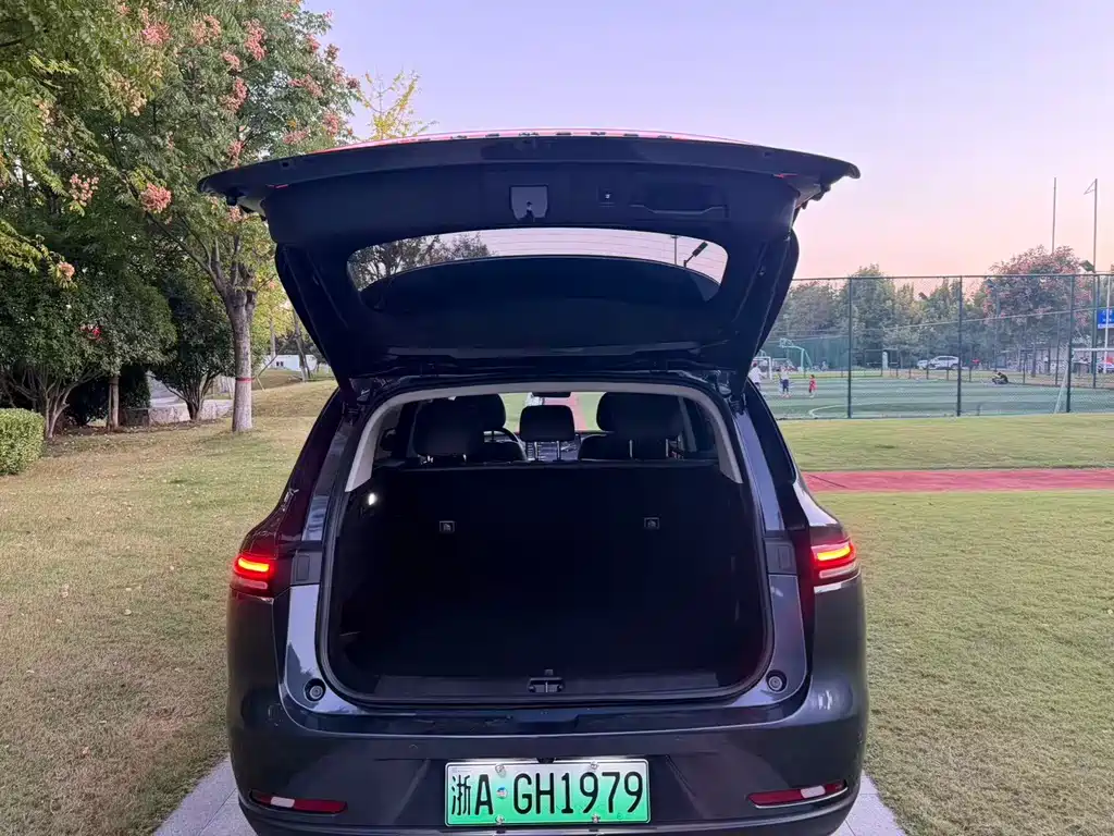 Leapmotor Leapmotor C10 — миниатюра 12