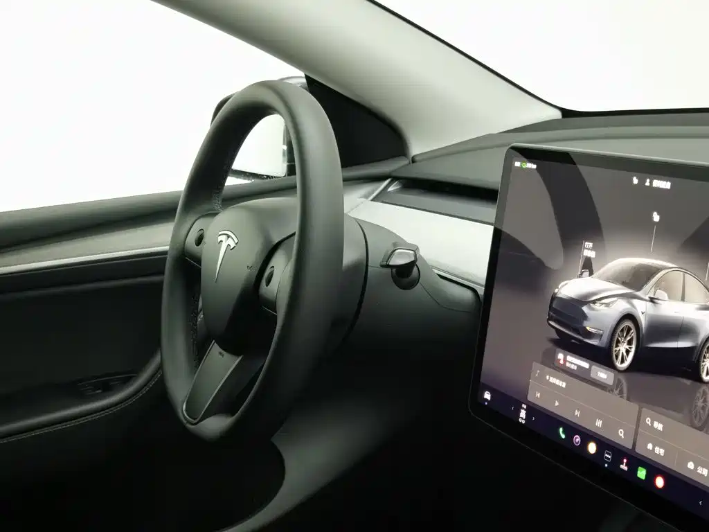 Tesla Model Y — миниатюра 22