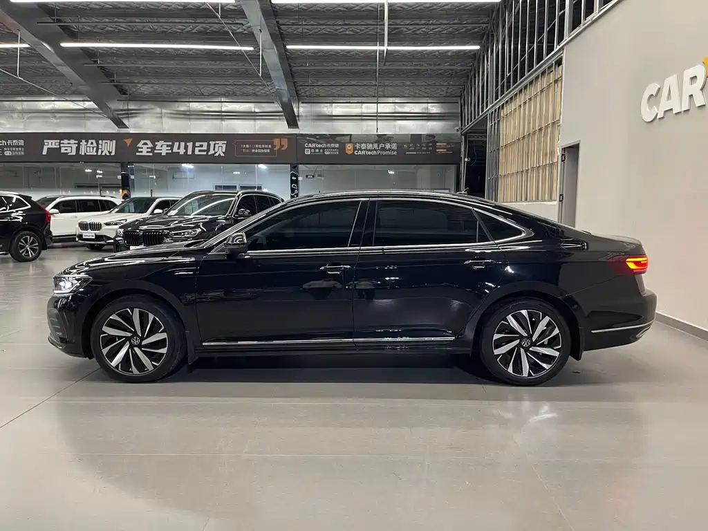 Volkswagen Passat — миниатюра 8