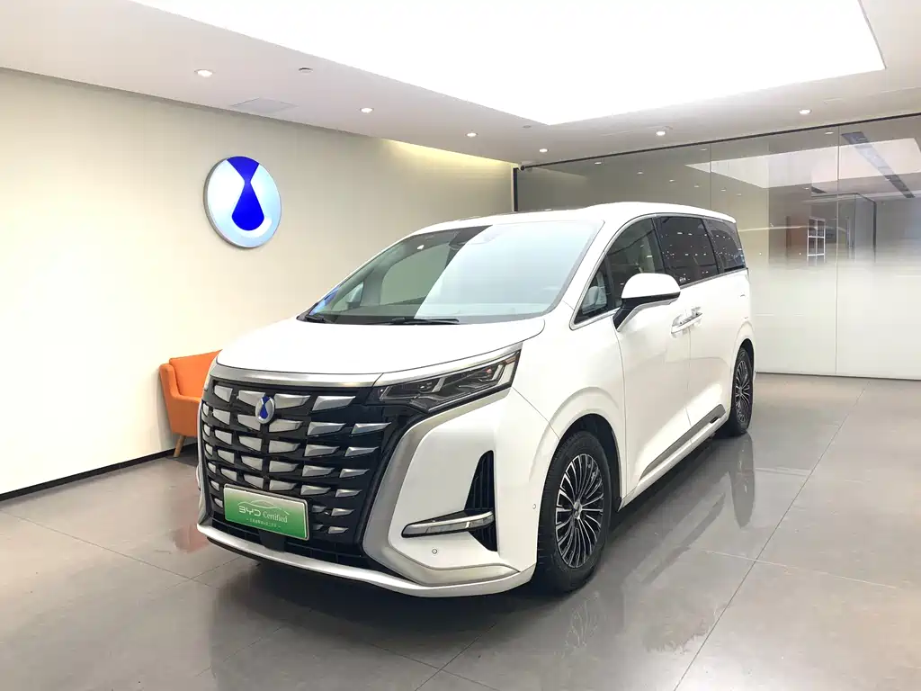 2023 Denza D9 - zdjęcie 1 z 19