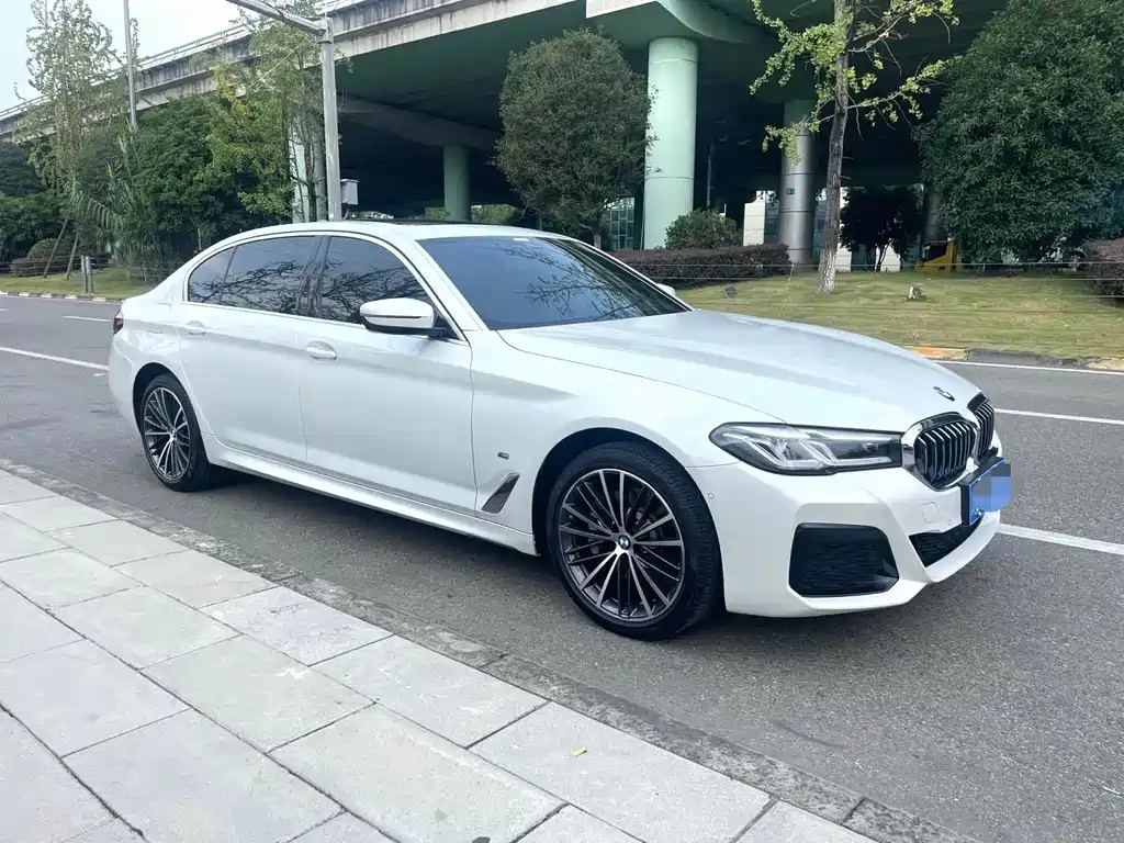 BMW 5 Series — миниатюра 3