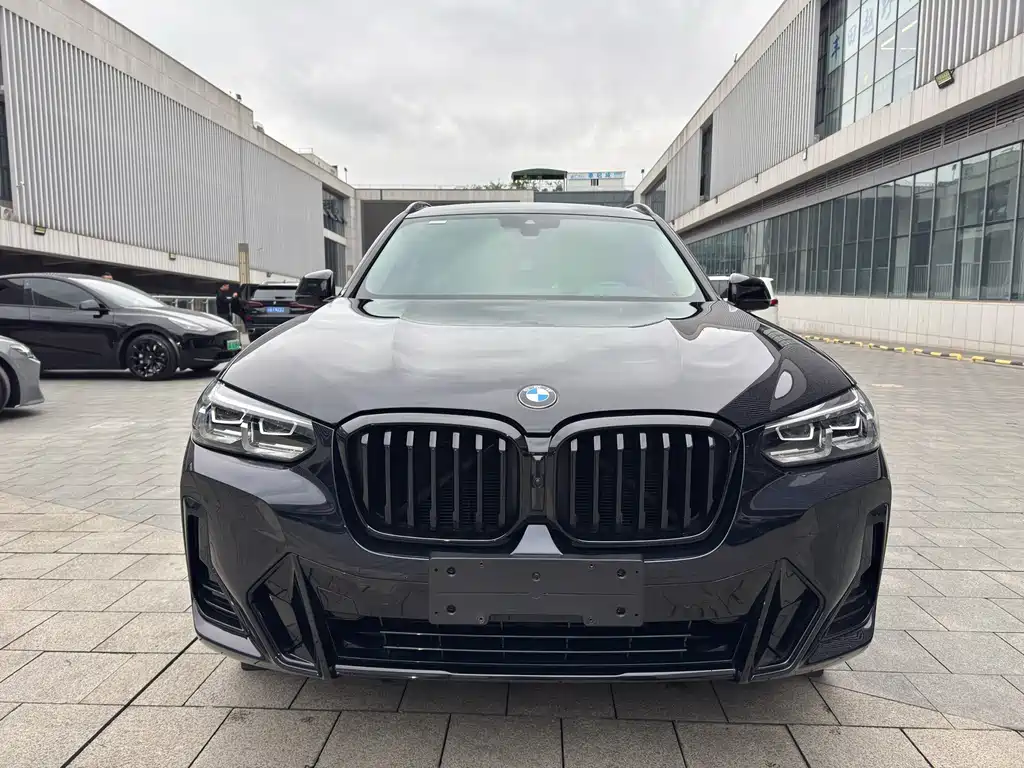 BMW X3 — миниатюра 2