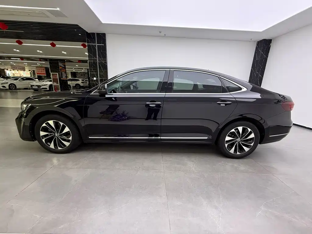 Volkswagen Passat — миниатюра 10