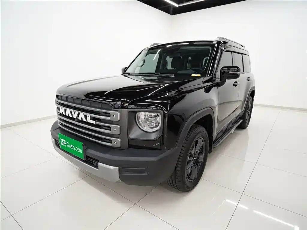 Haval Menglong New Energy 2024