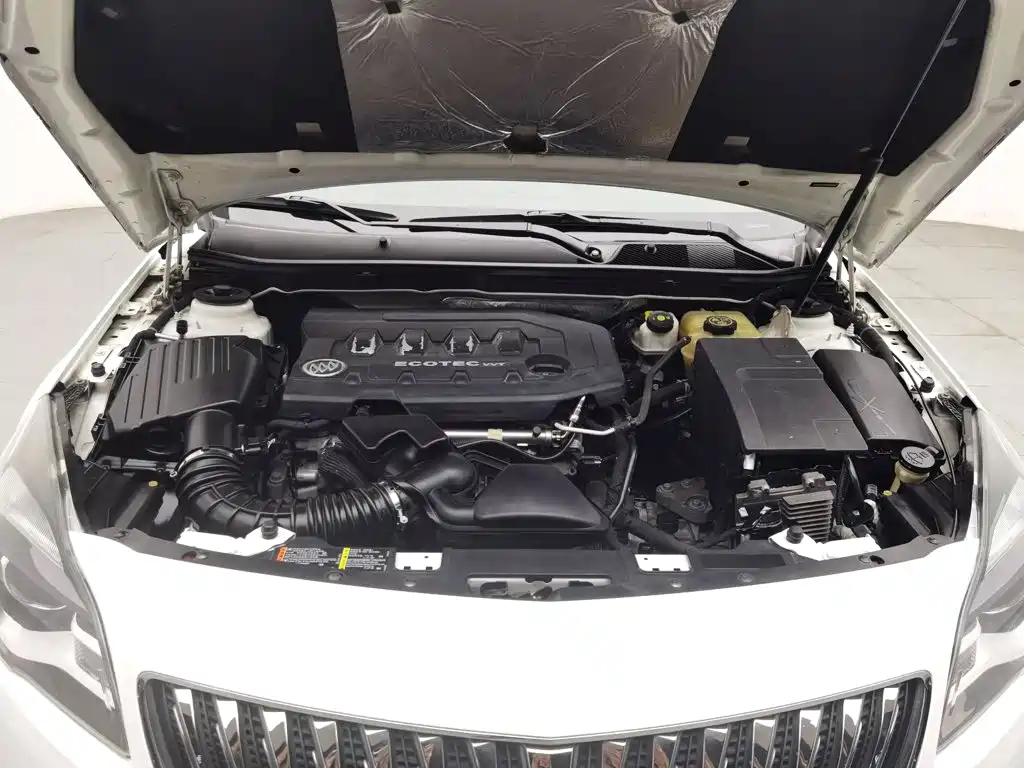 Buick Regal — миниатюра 6