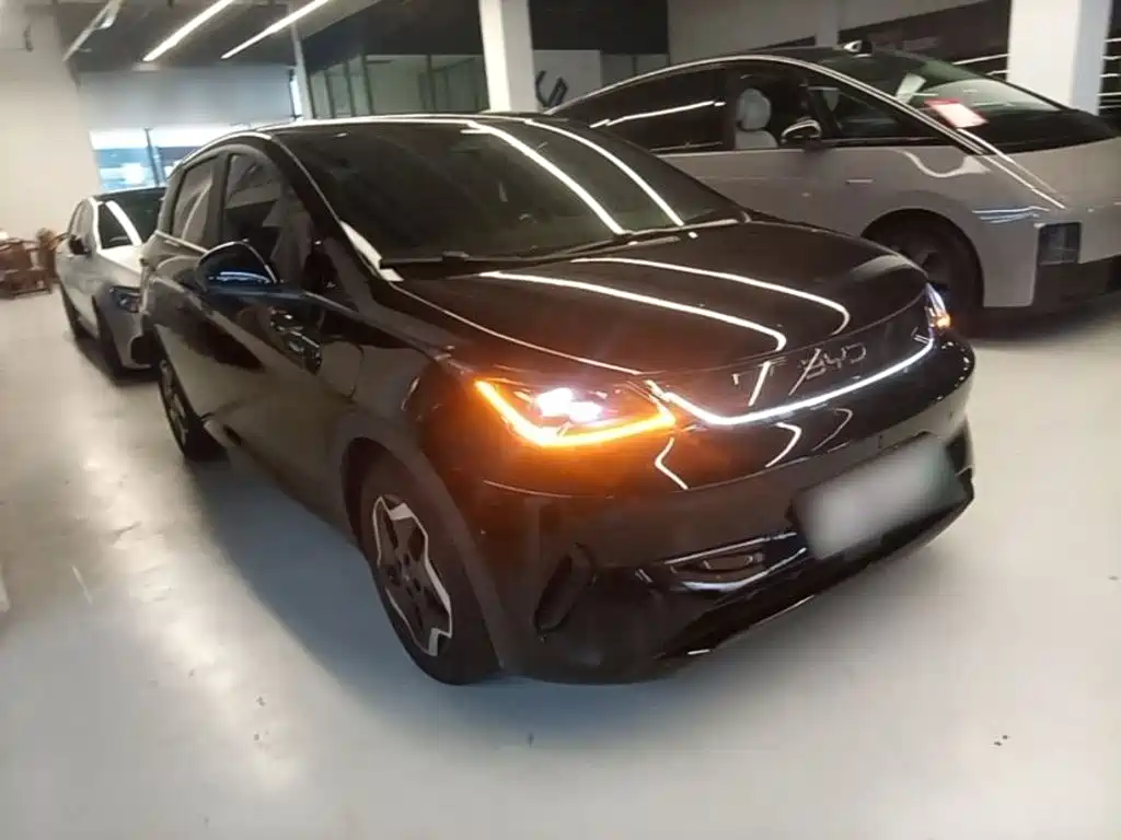 BYD Dolphin — миниатюра 4