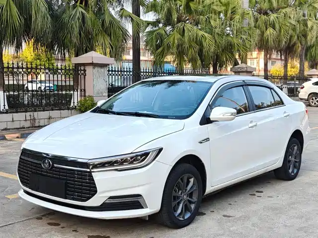 BYD QINXIN ENERGY 2020