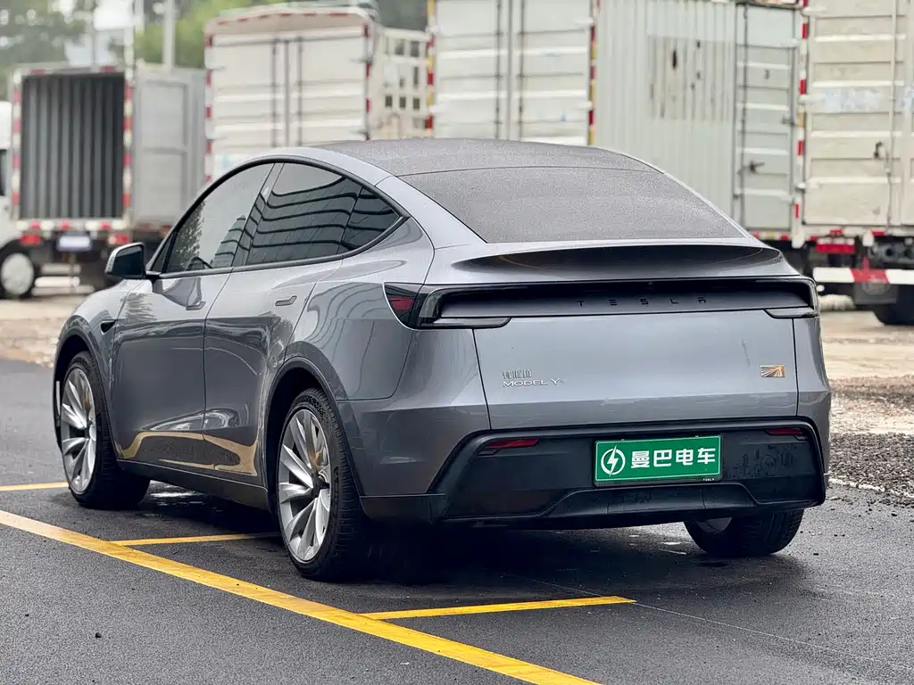 Tesla Model Y — миниатюра 6