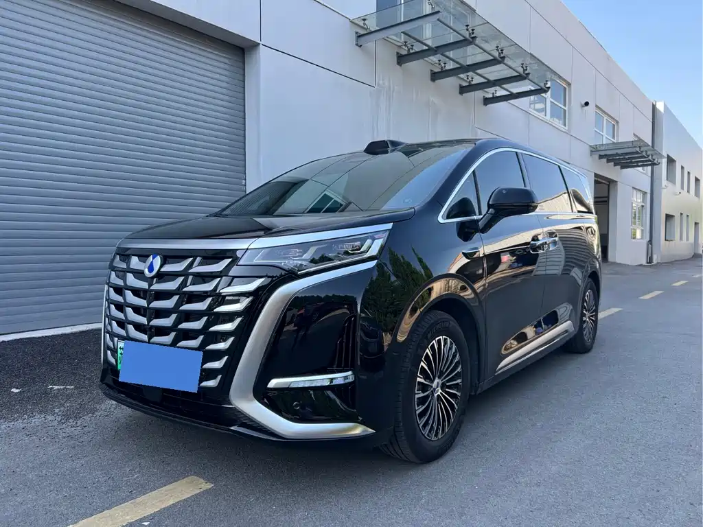 Denza D9