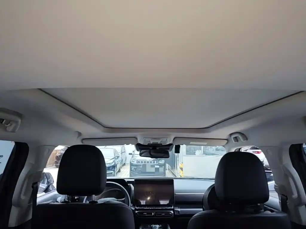 Haval Big Dog PLUS New Energy — миниатюра 18