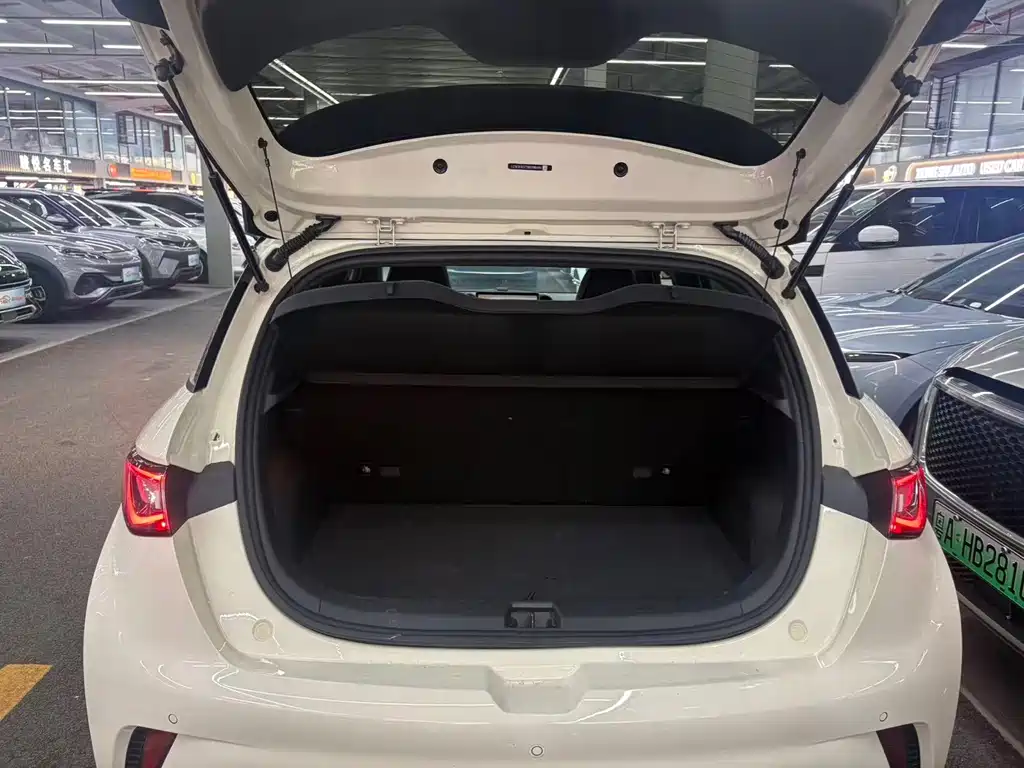 BYD Dolphin — миниатюра 17