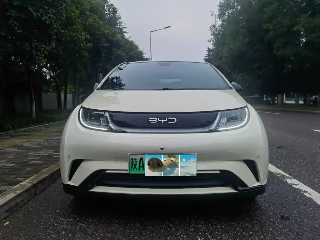BYD Dolphin — миниатюра 2