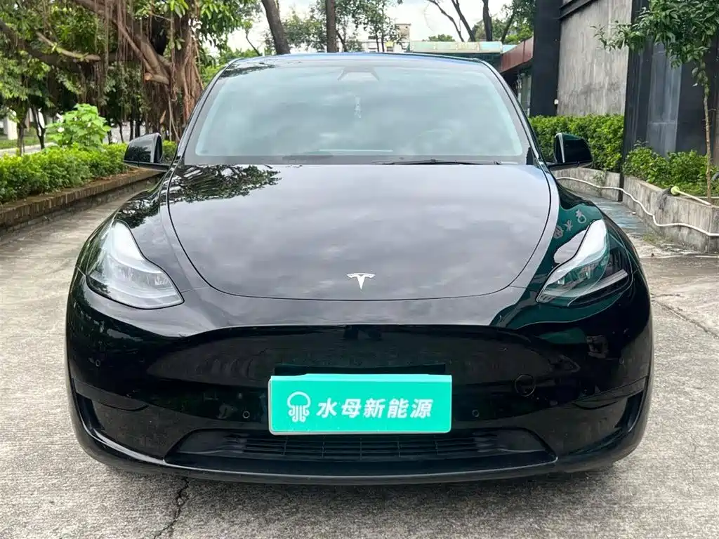 Tesla Model Y — миниатюра 2