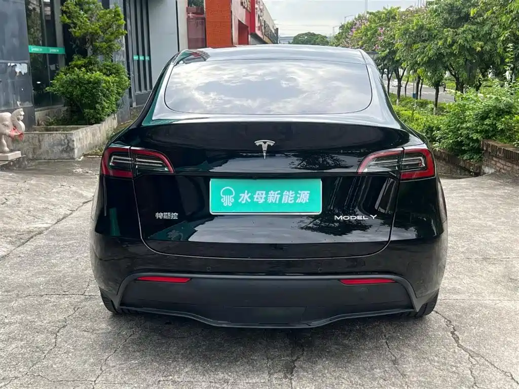 Tesla Model Y — миниатюра 7