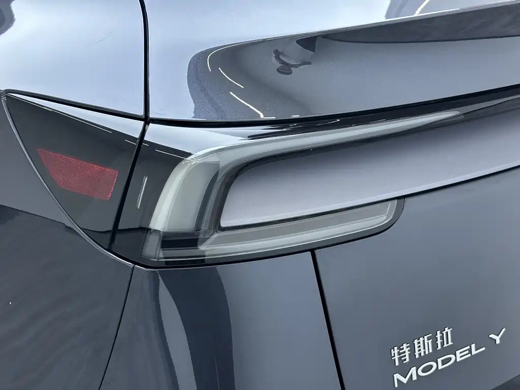 Tesla Model Y — миниатюра 11