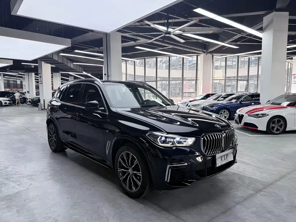 BMW X5 — миниатюра 3