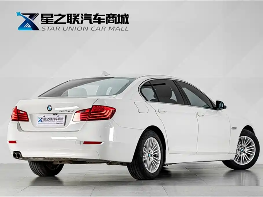BMW 5 Series 5 2014 525Li Lead