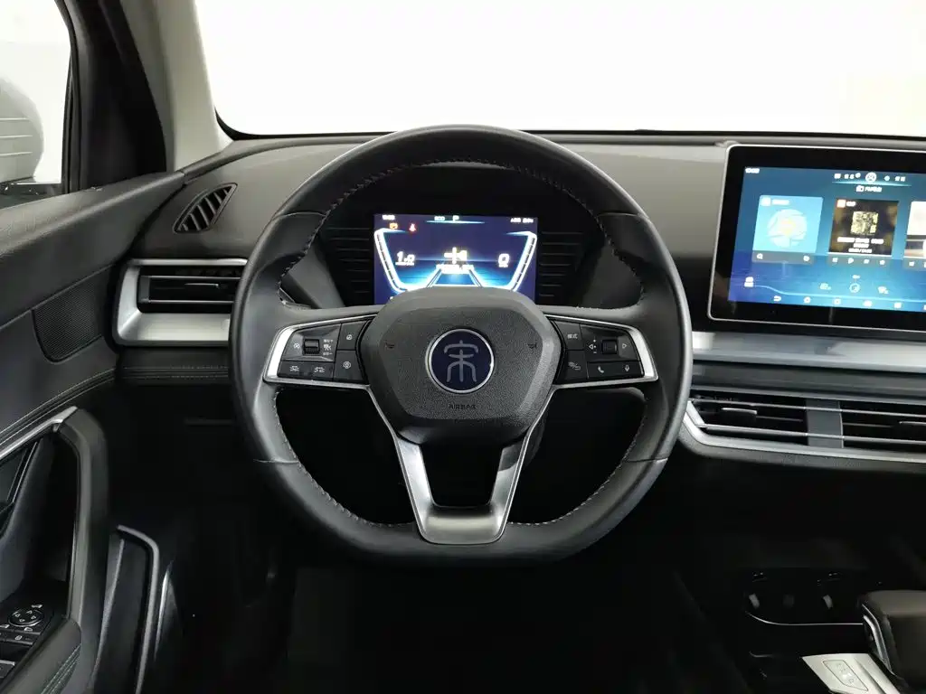 BYD Pro — миниатюра 11