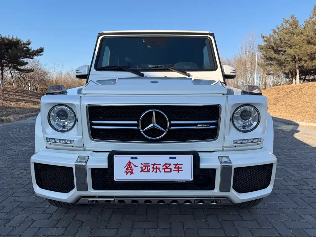 MERCEDES-BENZ G CLASS AMG