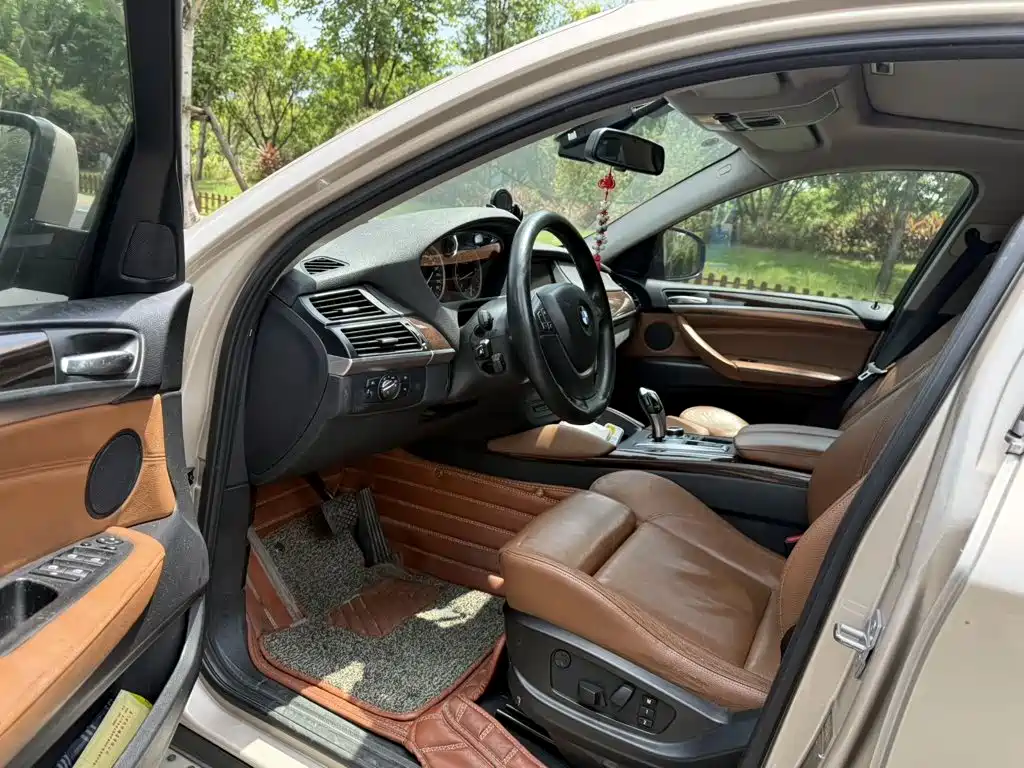 BMW X6 — миниатюра 7