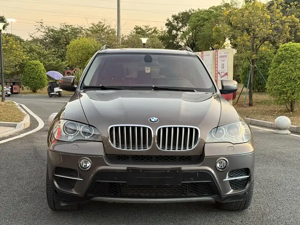BMW X5 (Import) — миниатюра 2
