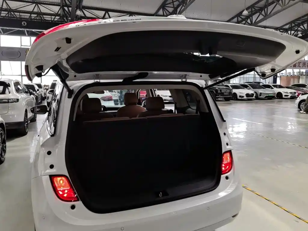 Buick GL6 — миниатюра 19