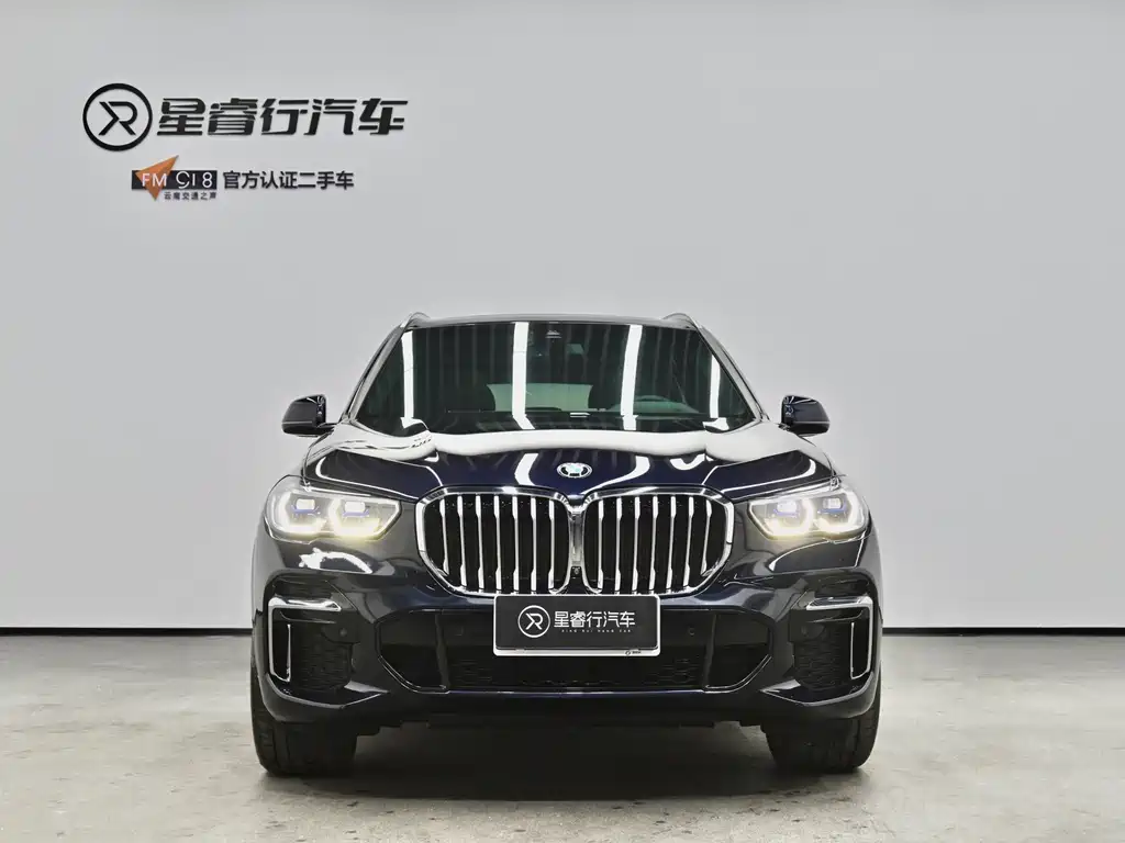 BMW X5 — миниатюра 2