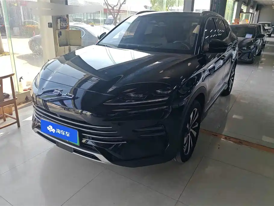 Byd PLUS New Energy 2024