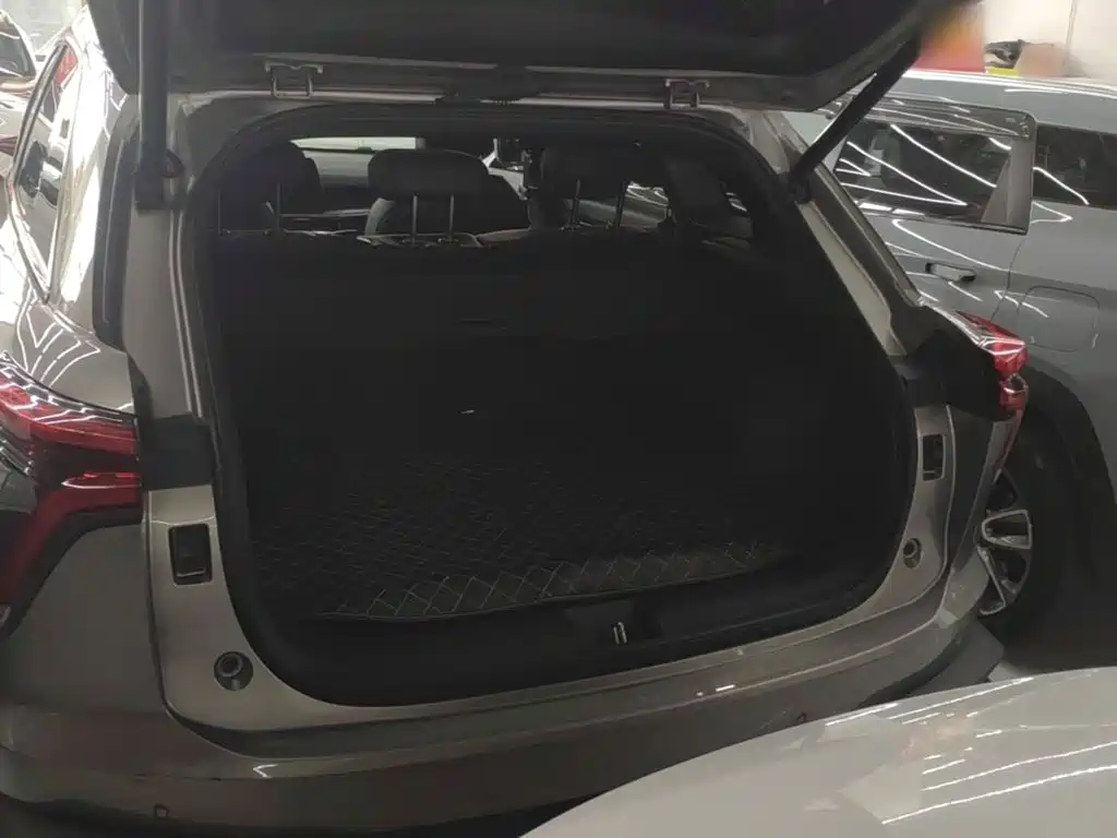 Haval Shenshou — миниатюра 19