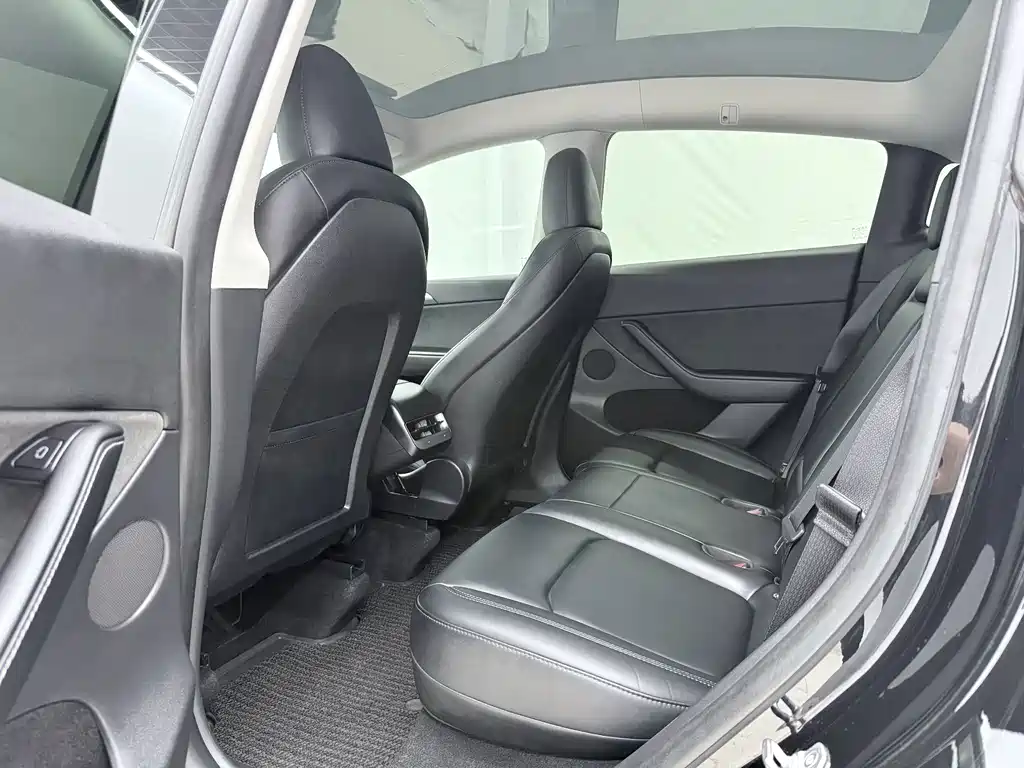 Tesla Model Y — миниатюра 10